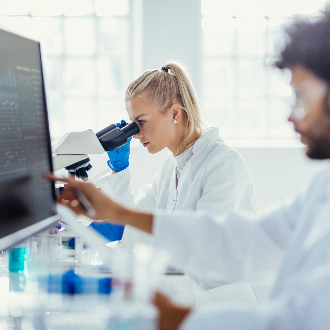 Scientist looks through microscope while another looks at a monitor