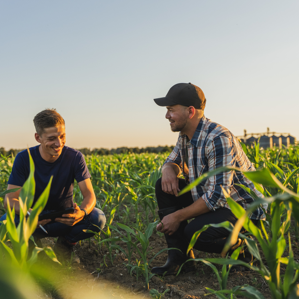 Two men crouch in field of crops